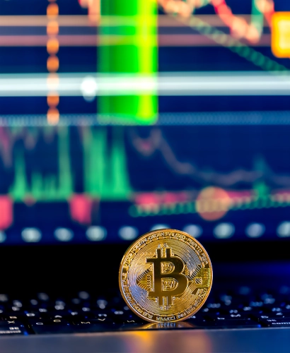 BTC +430 eSanrax Informazioni sul Trading